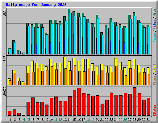 Daily usage for January 2020