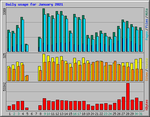 Daily usage for January 2021
