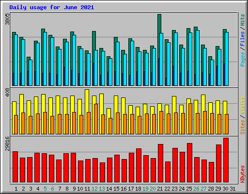 Daily usage for June 2021