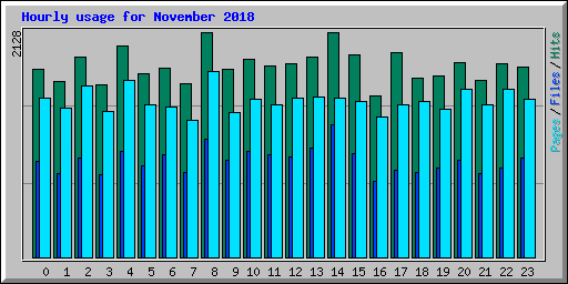 Hourly usage for November 2018