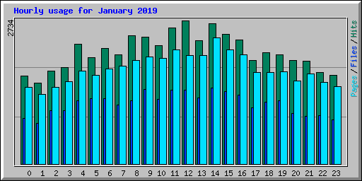 Hourly usage for January 2019