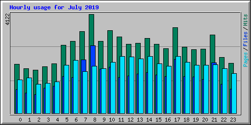 Hourly usage for July 2019