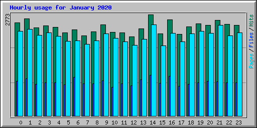 Hourly usage for January 2020