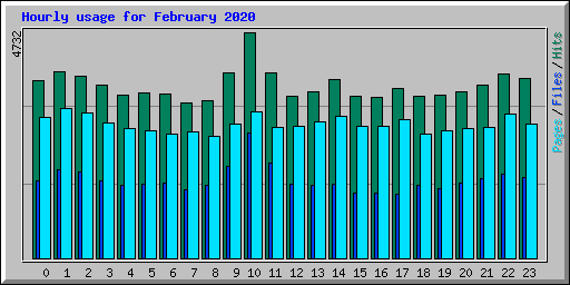 Hourly usage for February 2020