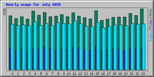Hourly usage for July 2020