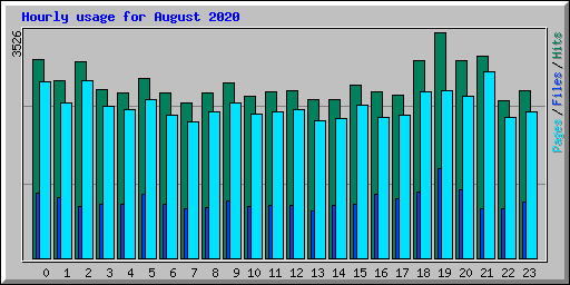 Hourly usage for August 2020