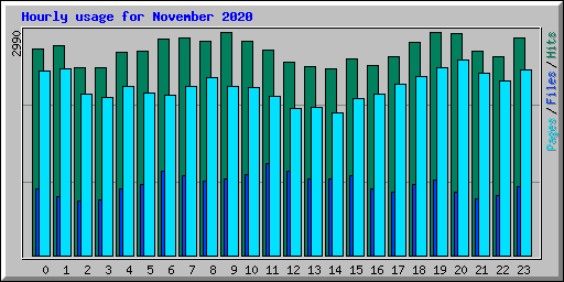 Hourly usage for November 2020