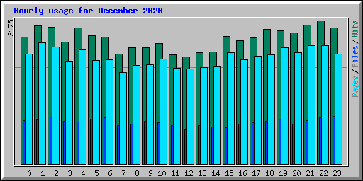 Hourly usage for December 2020