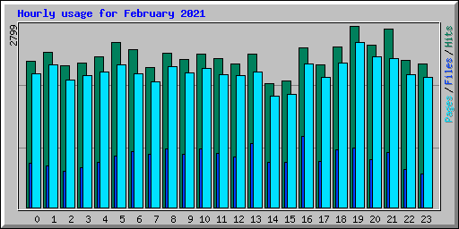 Hourly usage for February 2021