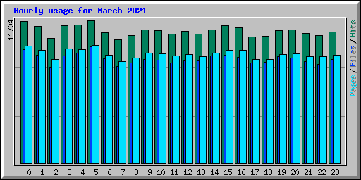 Hourly usage for March 2021