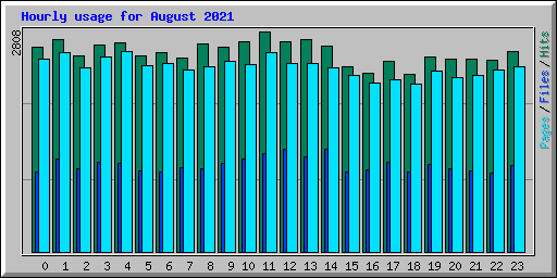 Hourly usage for August 2021